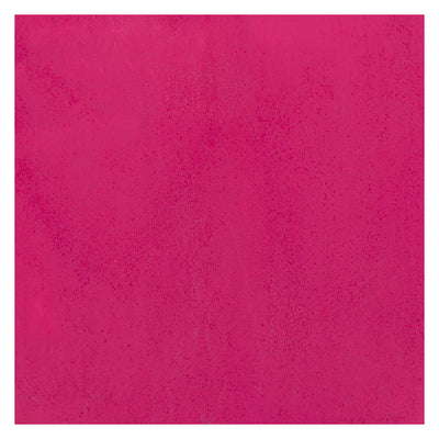 Bruynzeel Ecola Plakkaat Paint Bouteille 16ml Tyrisch Pink 359