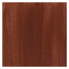 Bruynzeel Ecola Plakkaat Paint Bouteille 16 ml Brown 400