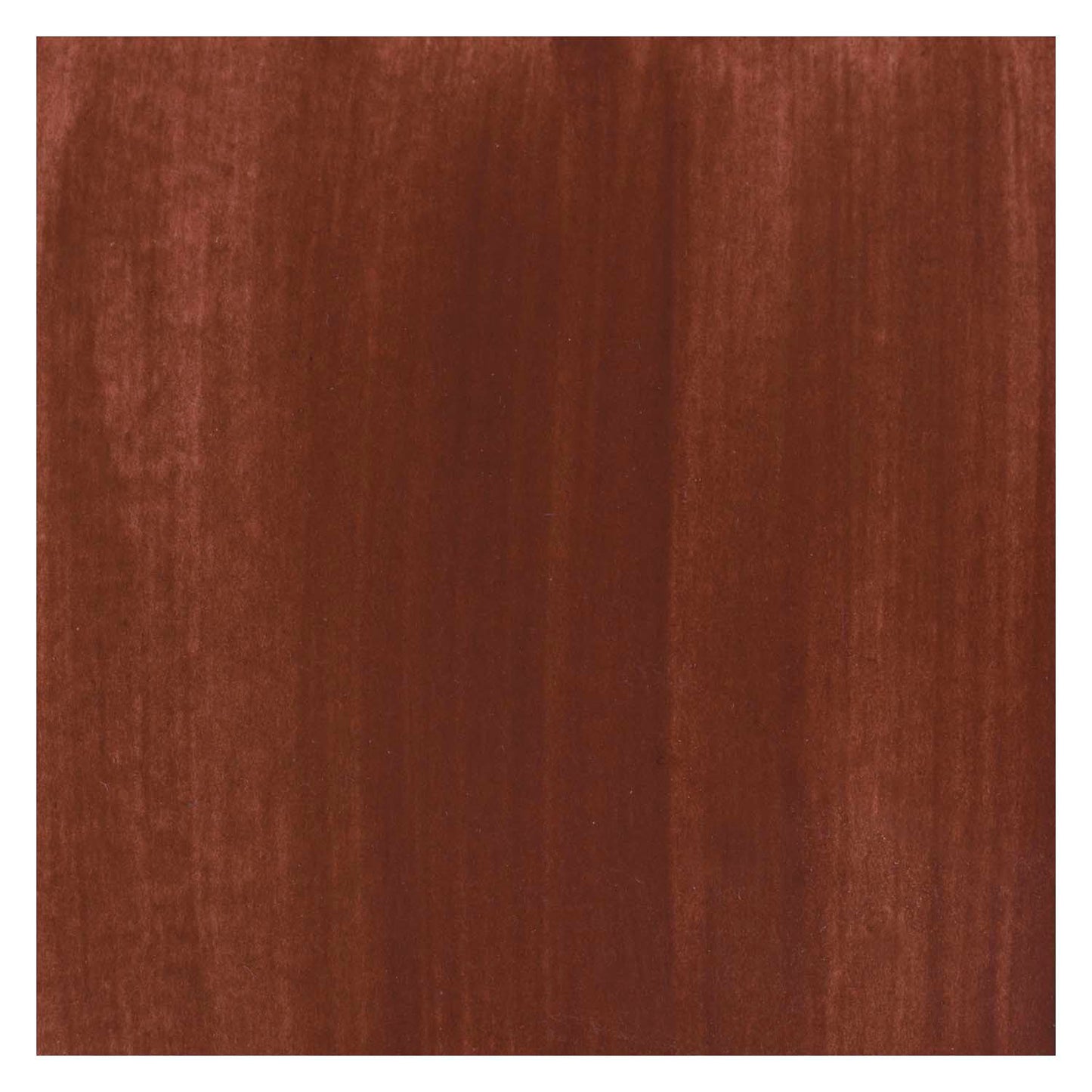 Bruynzeel Ecola Plakkaat Paint Bouteille 16 ml Brown 400