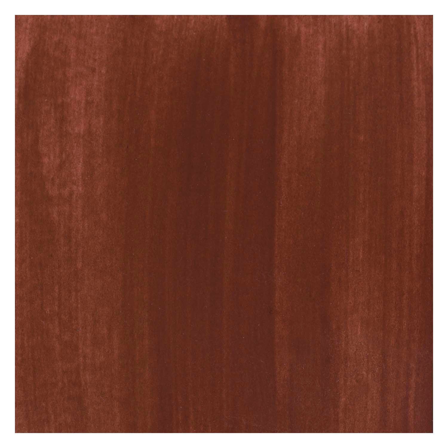 Bruynzeel Ecola Plakkaat Paint Bouteille 16 ml Brown 400