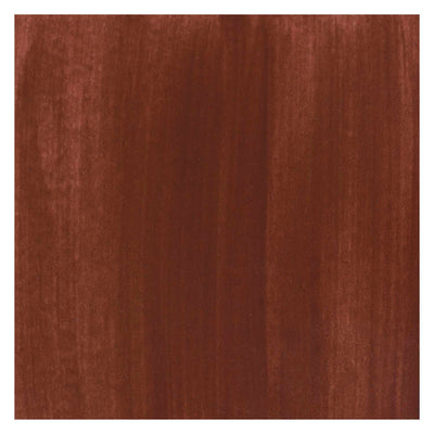 Bruynzeel Ecola Plakkaat Paint Bouteille 16 ml Brown 400