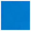 Bruynzeel Ecola Plakkaat Paint Bouteille 16 ml bleu clair 501