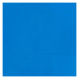 Bruynzeel Ecola Plakkaat Paint Bouteille 16 ml bleu clair 501 - afbeelding 2