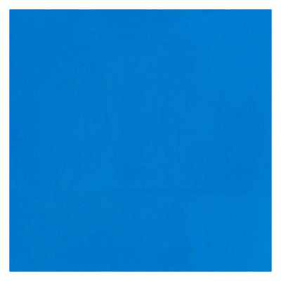 Bruynzeel Ecola Plakkaat Paint Bouteille 16 ml bleu clair 501