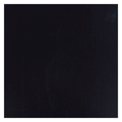 Bruynzeel Ecola Pain peinture bouteille 16 ml noir 700