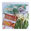 TALENS ART Création Crayons de couleur Set 24
