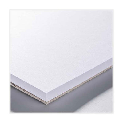 Talens Bristol Paper A4 246 G M2 20 feuilles