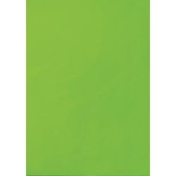 Étiquettes multifonctions vert fluo 25 pièces