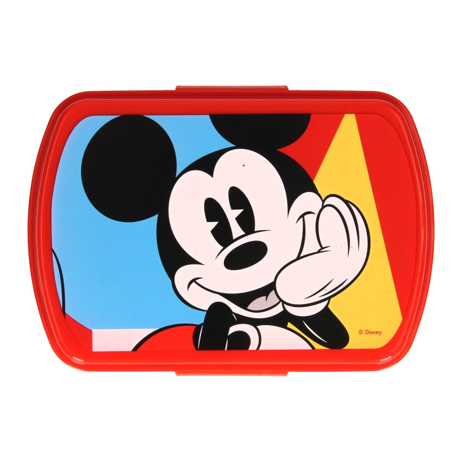 Livre de licence pour enfants Mickey Mouse