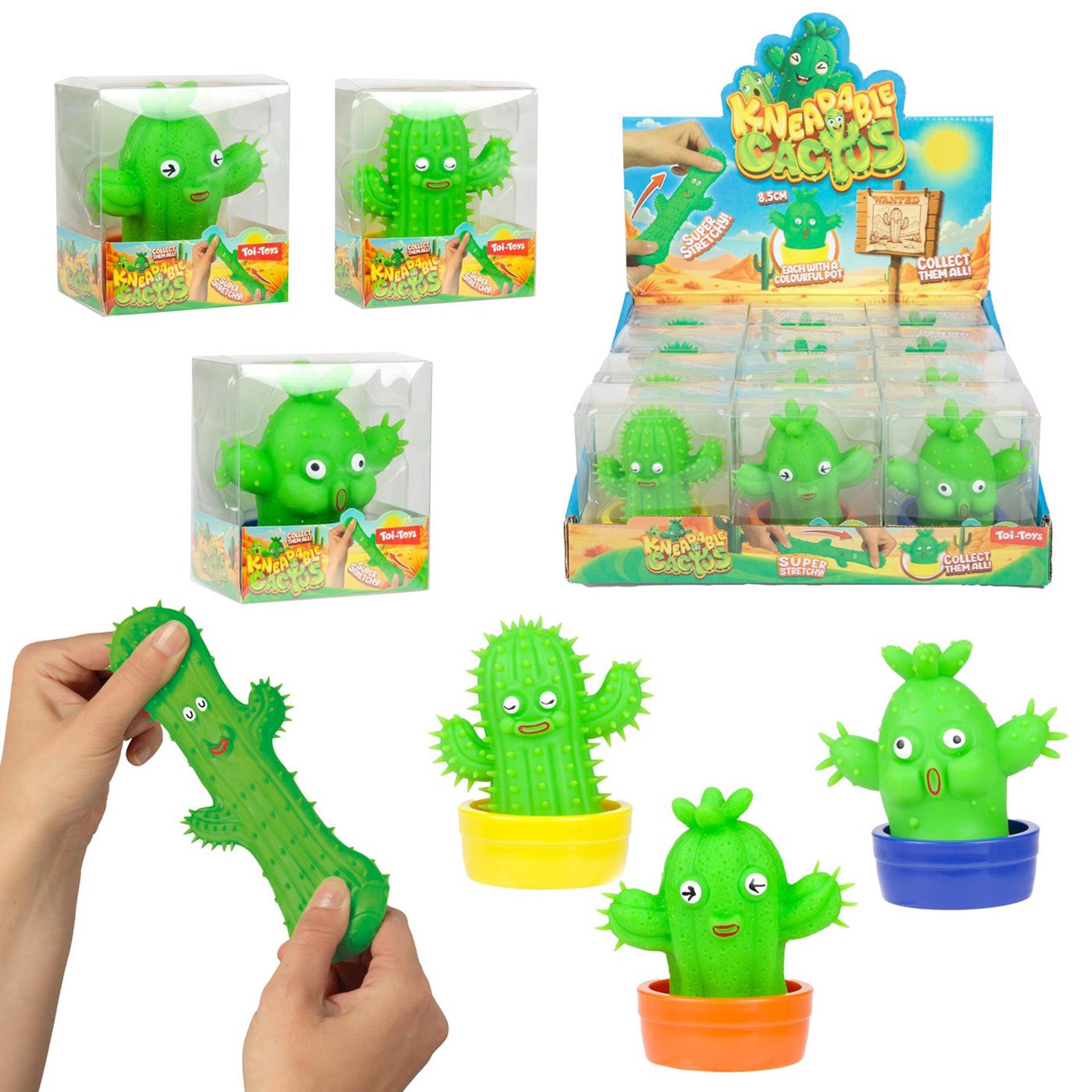 Toi-toys cactus moulé extensible avec pot
