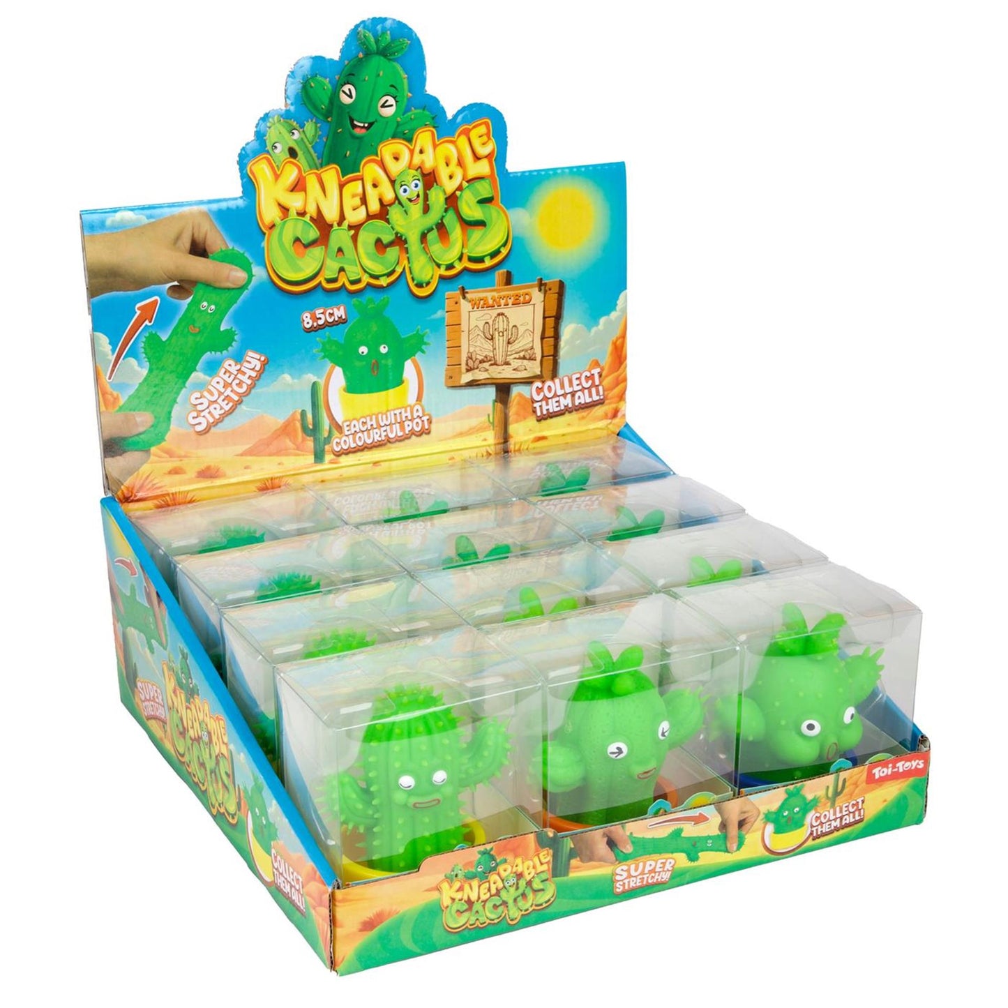 Toi-toys cactus moulé extensible avec pot