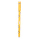 Stylo à bille effacé itotal avec Cap Shiba