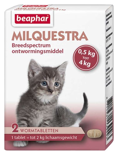 Beapar milquestra petit chat chaton