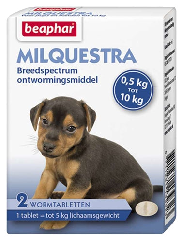 Beapar milquestra petit chiot de chien