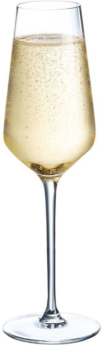 Verres à champagne distinction chef sommelier - 230ml - 6 pièces
