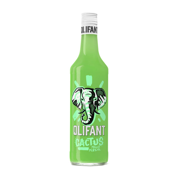 Cactus éléphant (0,7 litre)