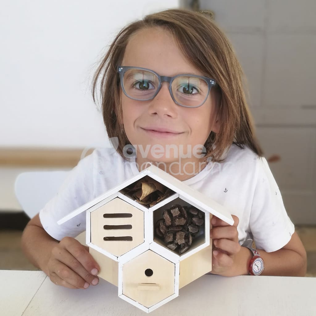 Avenue Mandarin Avenue Mandarin Craft Box Bug House à construire