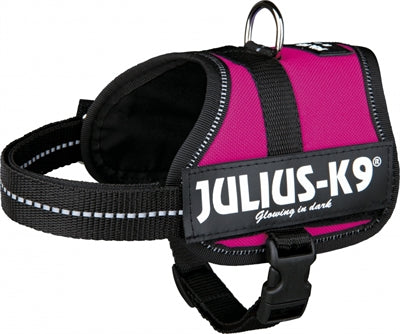Julius K9 Power-Harnas Tuig pour les étiquettes Fuchsia