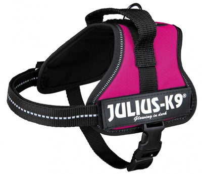 Julius K9 Power-Harnas Tuig pour les étiquettes Fuchsia