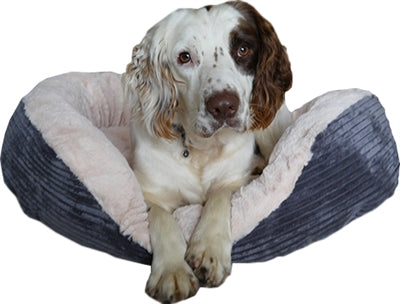Panier de chien en palissandre cordon jumbo ovale crème gris en peluche