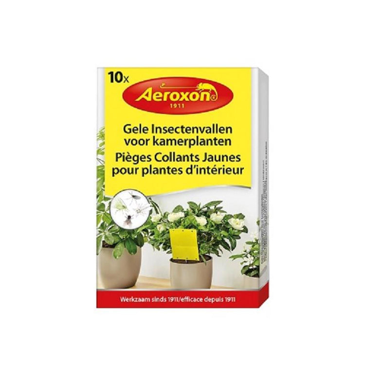 Pièges à insectes Bsi Aeroxon pour plantes d'intérieur