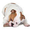 Petstages Dogwood Stick durable