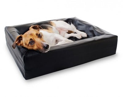 Bia lit panier pour chien orthopédique noir