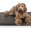 Bia lit matelas transat orthopédique noir
