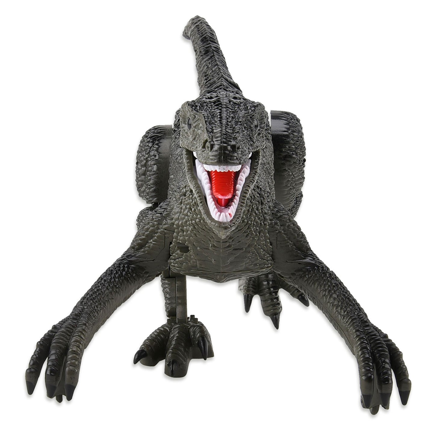 Robot dinosaure raptor contrôlable Gear2play RC 2,4 GHz