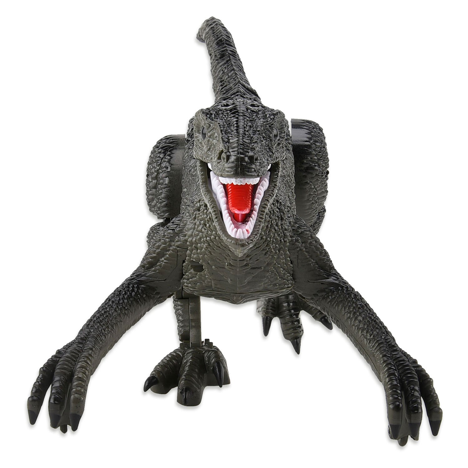 Robot dinosaure raptor contrôlable Gear2play RC 2,4 GHz