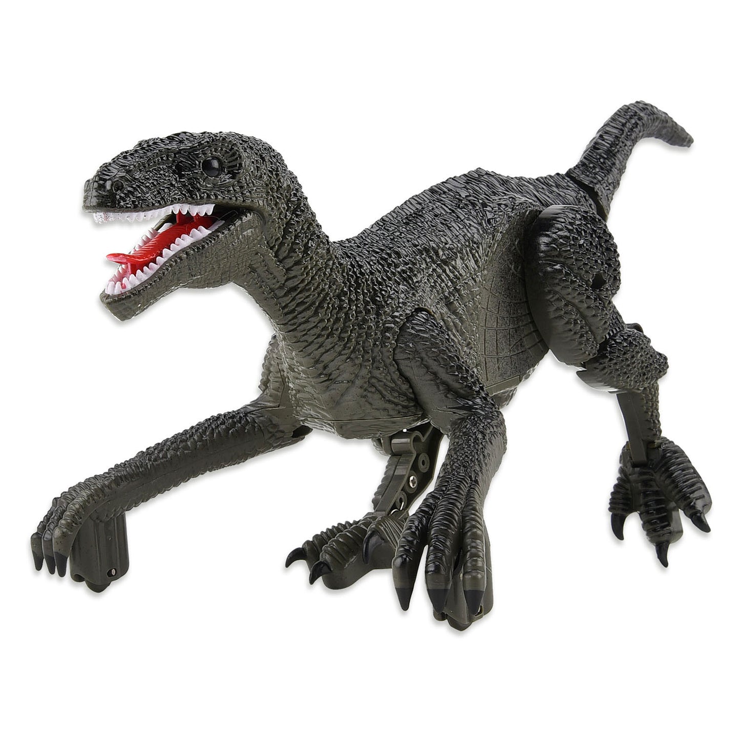 Robot dinosaure raptor contrôlable Gear2play RC 2,4 GHz