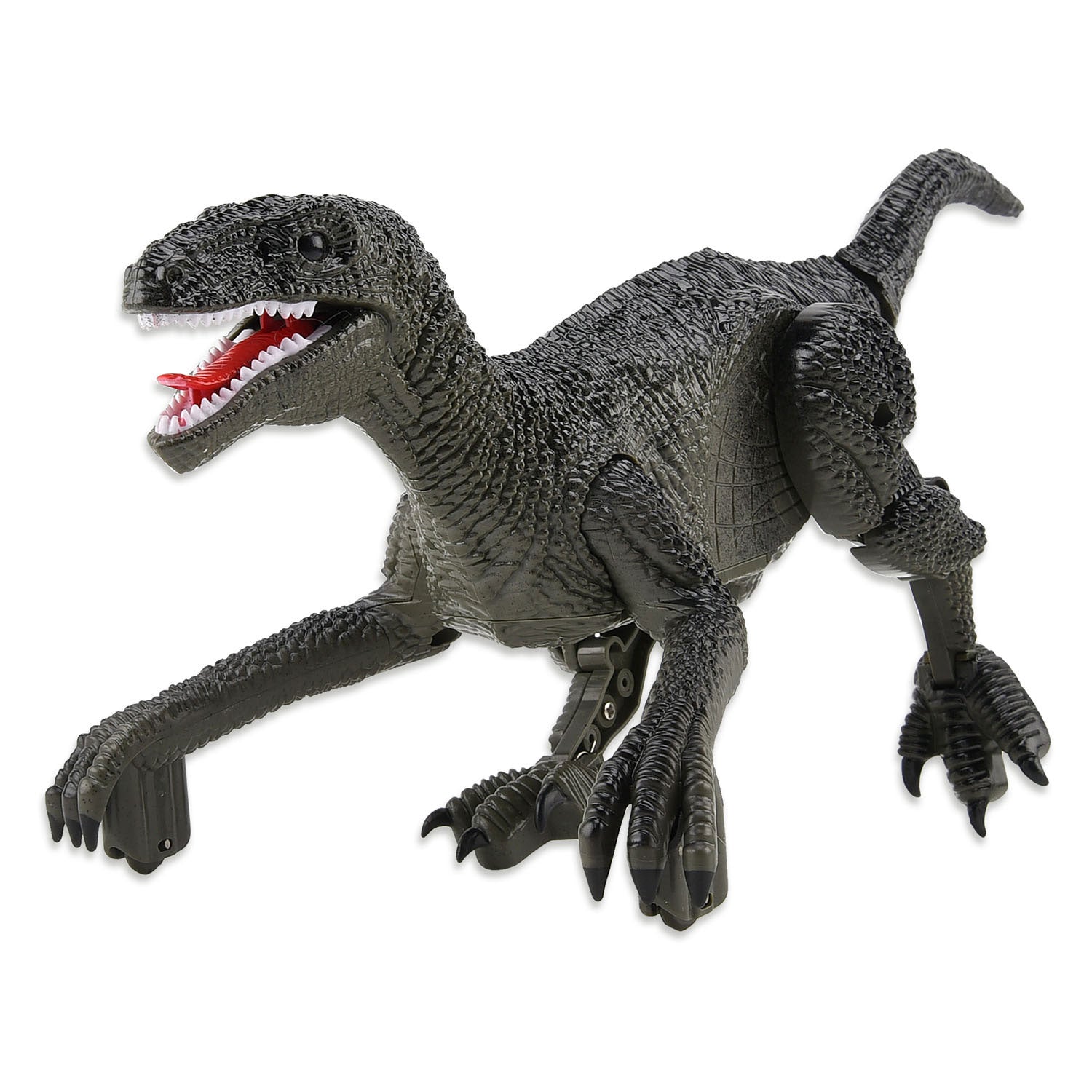 Robot dinosaure raptor contrôlable Gear2play RC 2,4 GHz