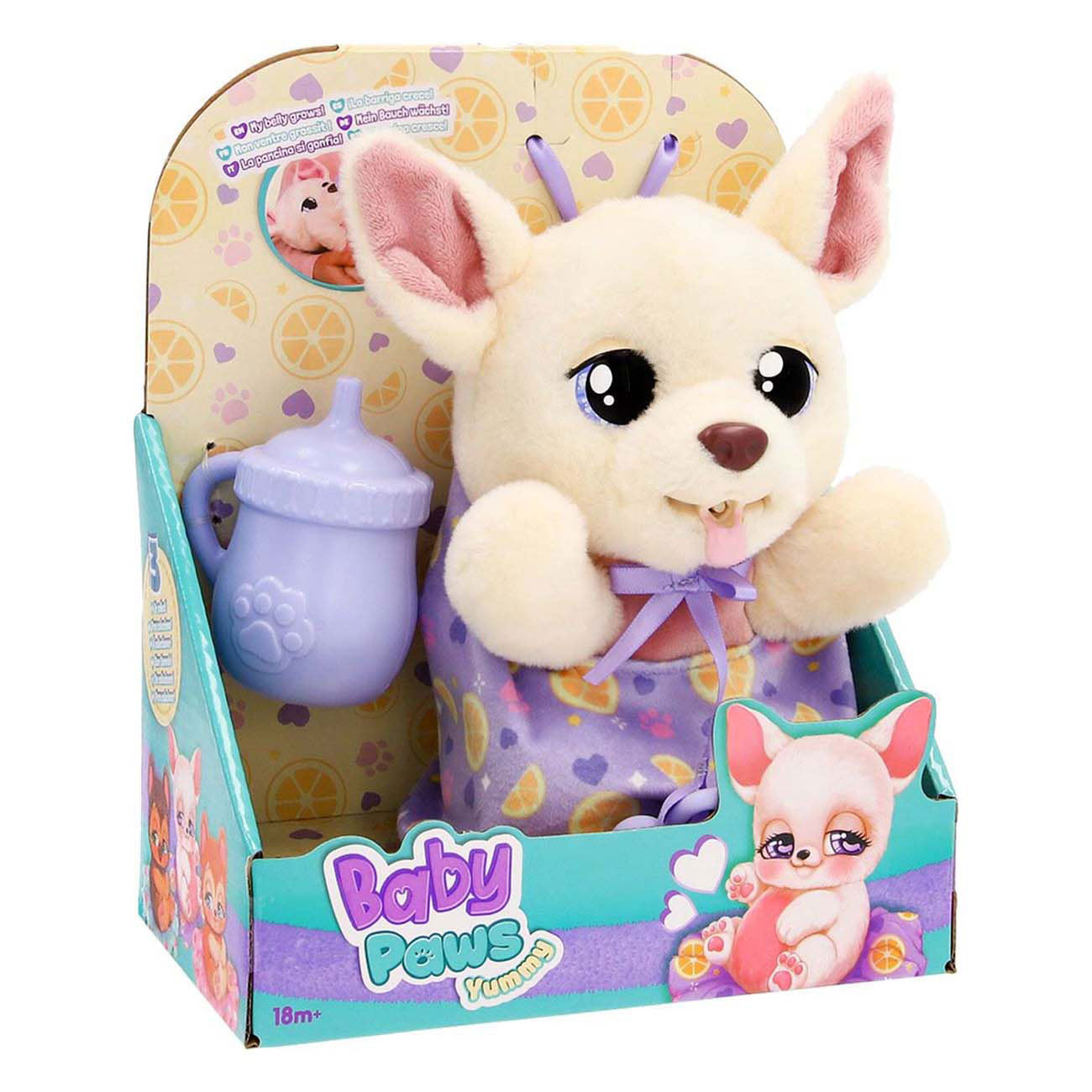 Pattes de bébé délicieux chihuahua