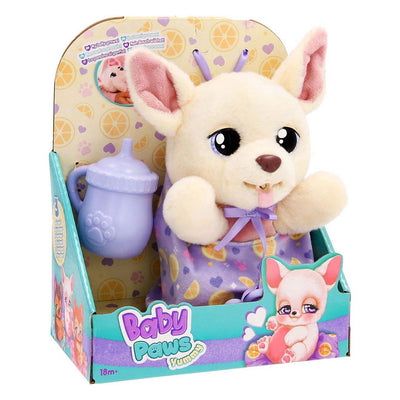 Pattes de bébé délicieux chihuahua