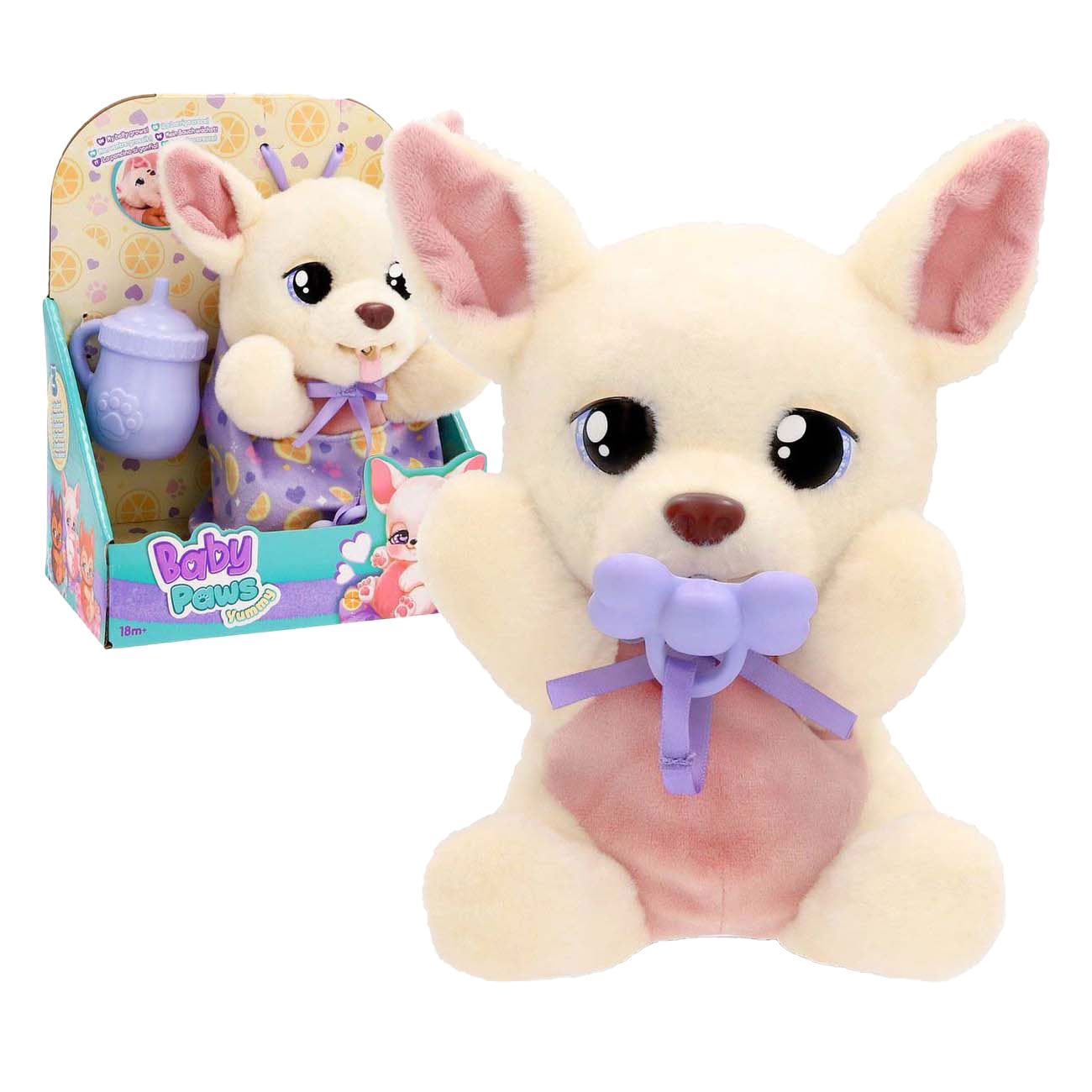 Pattes de bébé délicieux chihuahua