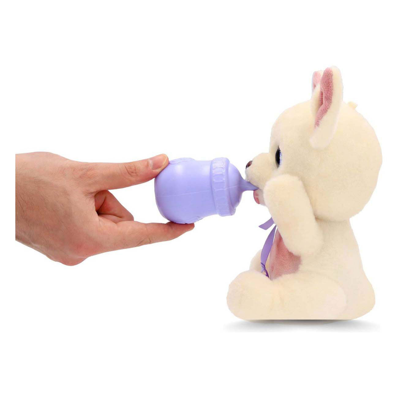 Pattes de bébé délicieux chihuahua