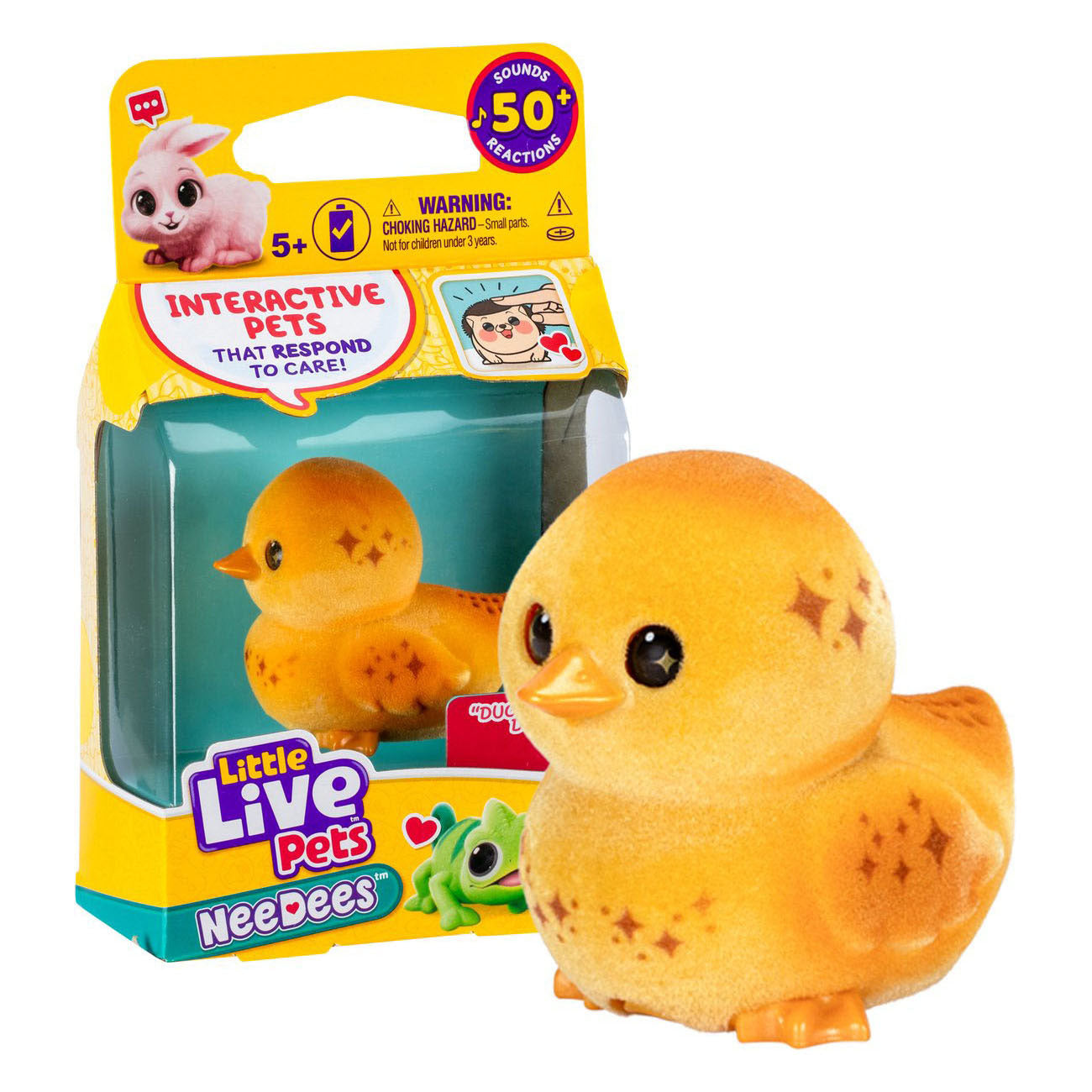 Petits animaux vivants