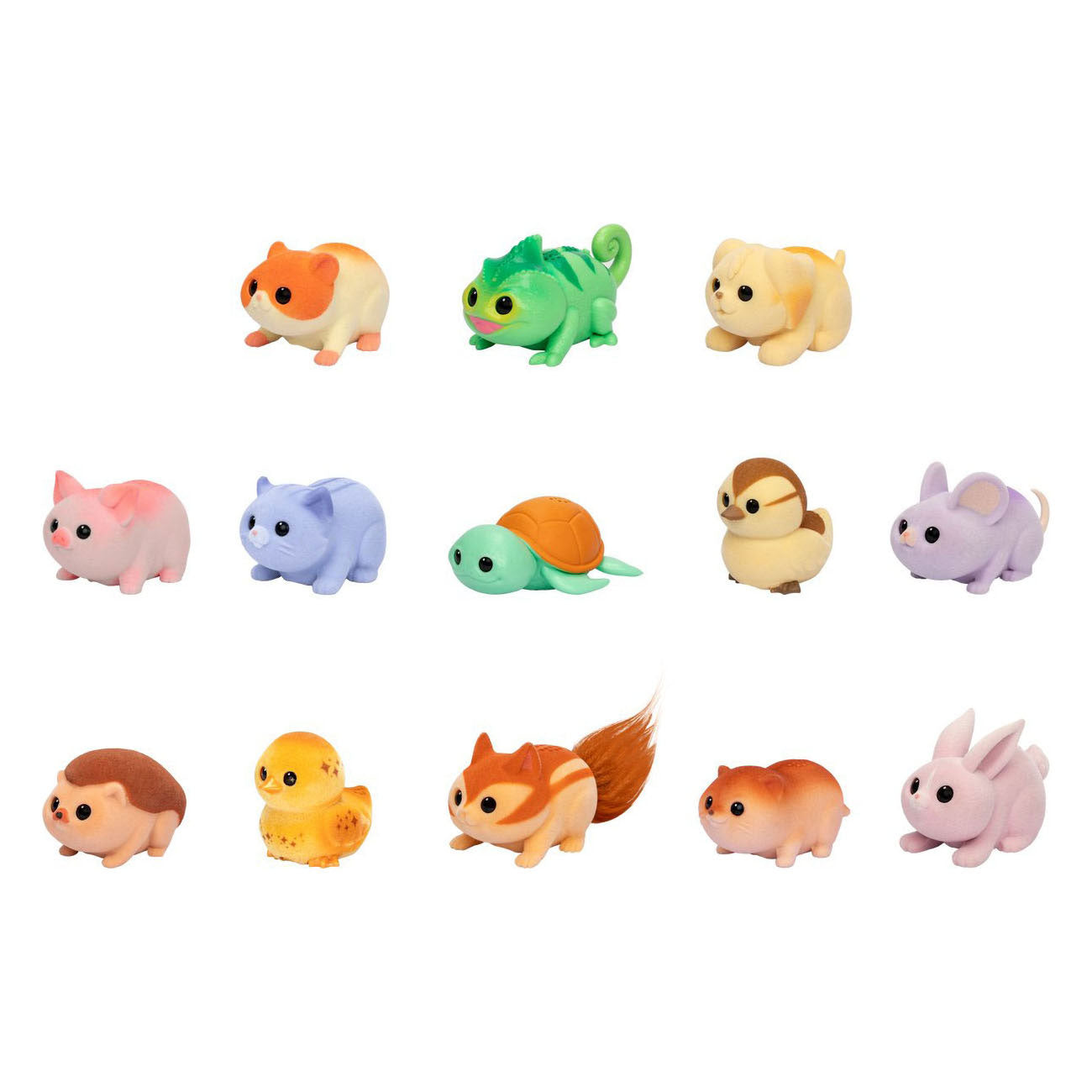 Petits animaux vivants