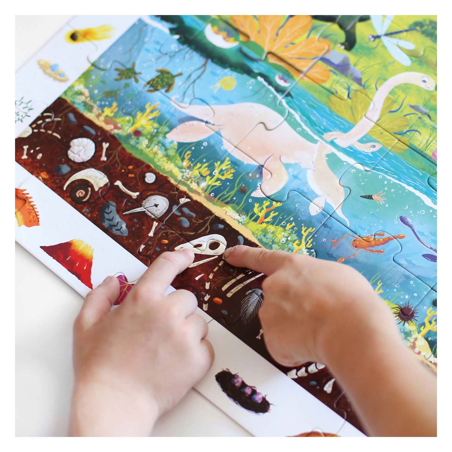 Banana Panda - Rechercher et regarder les dinosaures de puzzle - 60e.