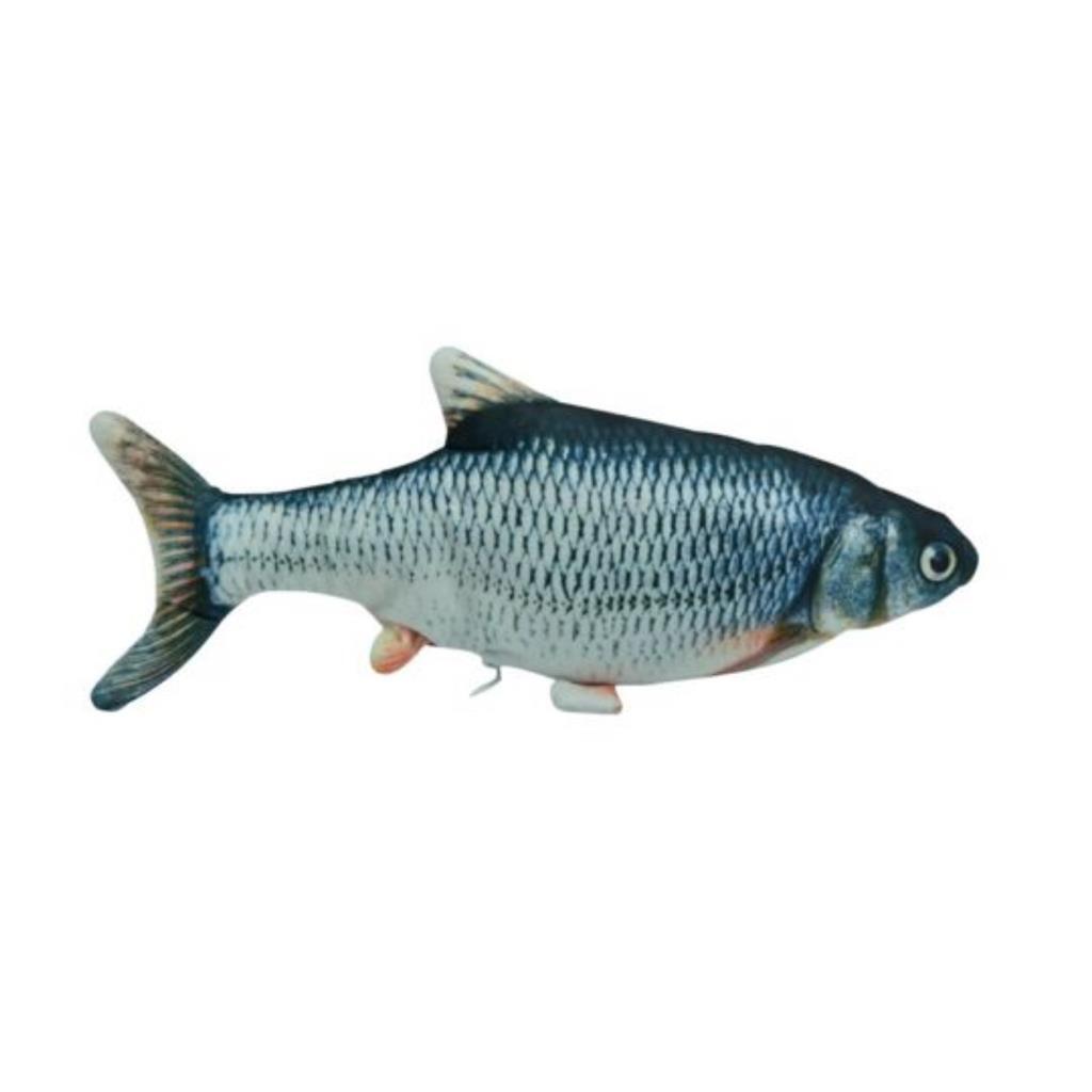 Jouets de base de poisson