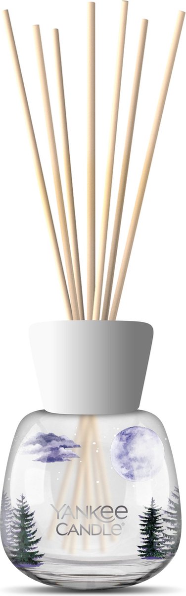 5038581156019