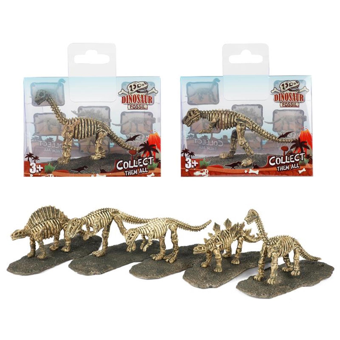 Figure de collection fossile des dinosaurus TOI-TOYS
