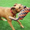 Noix de animaux de compagnie heureux pour nœuds extrêmes bobine 8 forme de trus gris orange