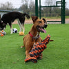 Noix de animaux de compagnie heureux pour nœuds extrêmes bobine 8 forme de trus gris orange