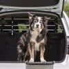 Trixie Dog Rack Car Silver Black