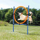 Trixie Dog Activity Agility Ring Blue Orange
