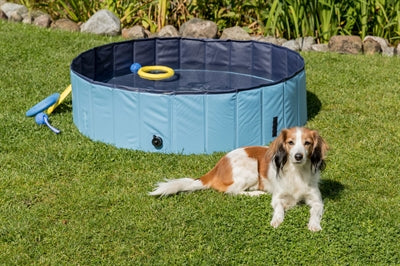 Trixie piscine pour chien bleu clair bleu