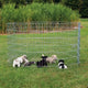 Trixie Natura Puppyren Galvanisé Metal 8 Panneaux