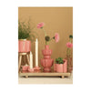 Idées 4 saisons vase bellagio terra rose ø11xh20cm