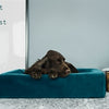 Bia Bed Royal Velvet Hoes For Dog Basket Essence